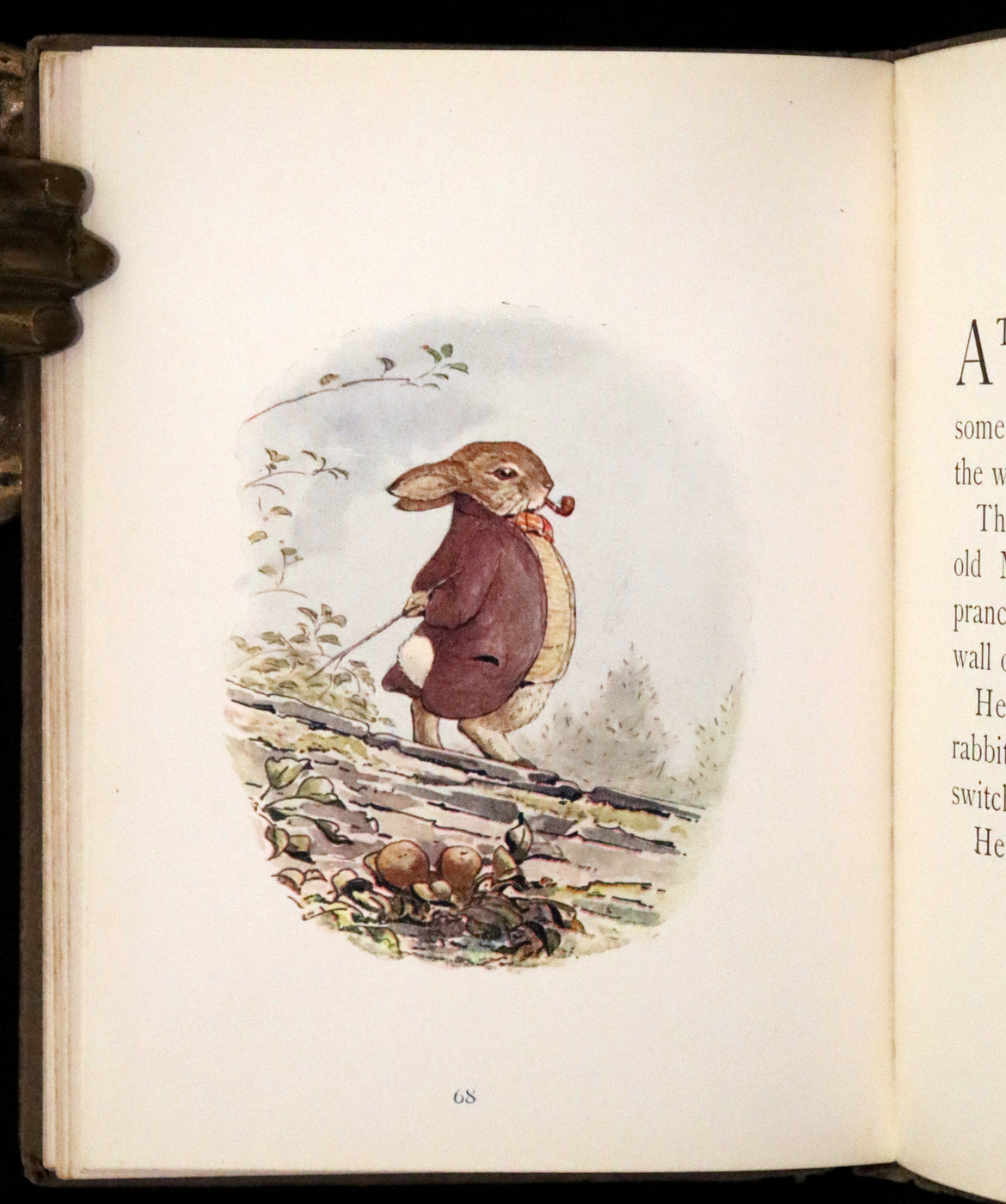Benjamin The Rabbit 1904 First US Edition - The Tale of Benjamin Bunny by Beatrix Potter ...