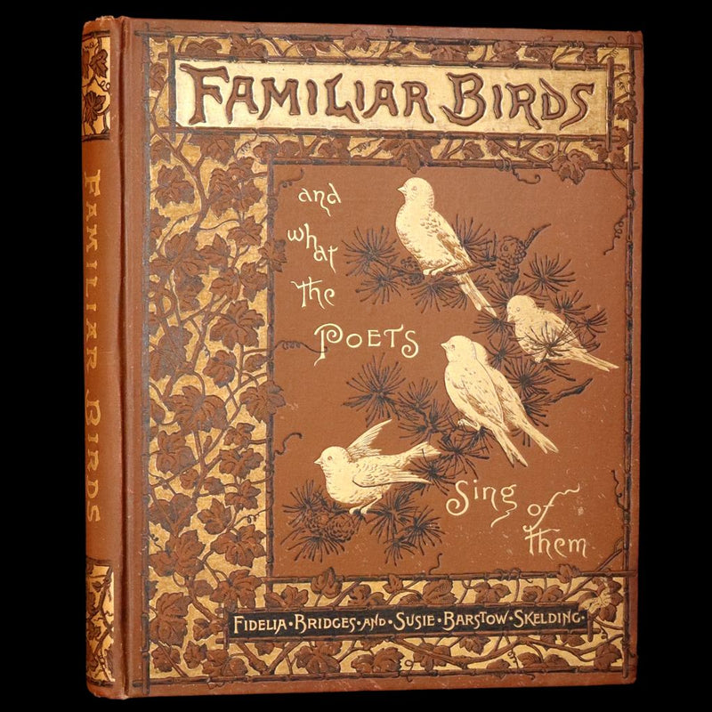 1886 Scarce Victorian Skelding Book ~ Familiar Birds and What the Poets Sing of Them, illustrated by Fidelia Bridges.