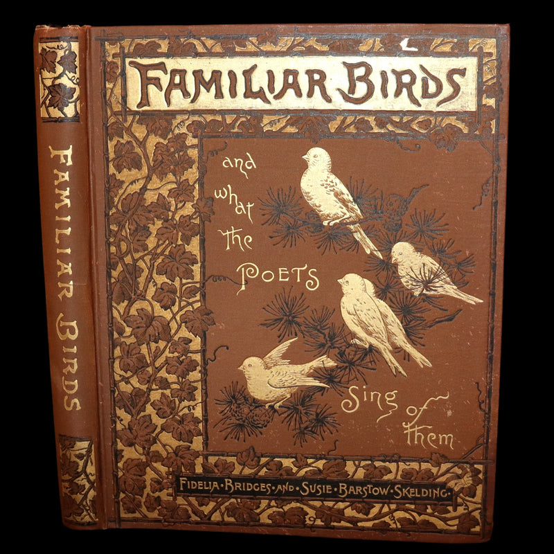 1886 Scarce Victorian Skelding Book ~ Familiar Birds and What the Poets Sing of Them, illustrated by Fidelia Bridges.