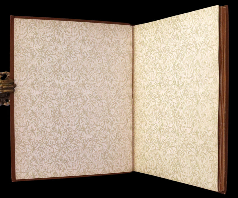 1886 Scarce Victorian Skelding Book ~ Familiar Birds and What the Poets Sing of Them, illustrated by Fidelia Bridges.