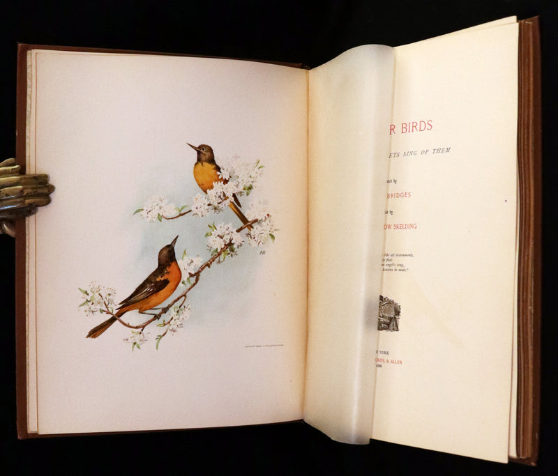 1886 Scarce Victorian Skelding Book ~ Familiar Birds and What the Poets Sing of Them, illustrated by Fidelia Bridges.