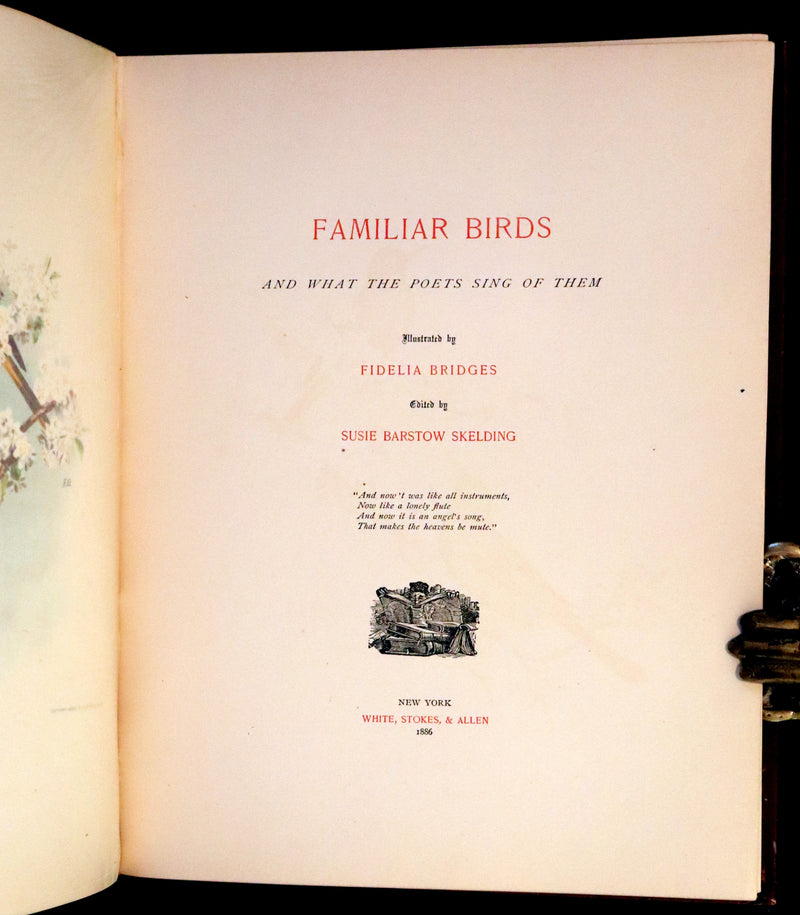 1886 Scarce Victorian Skelding Book ~ Familiar Birds and What the Poets Sing of Them, illustrated by Fidelia Bridges.