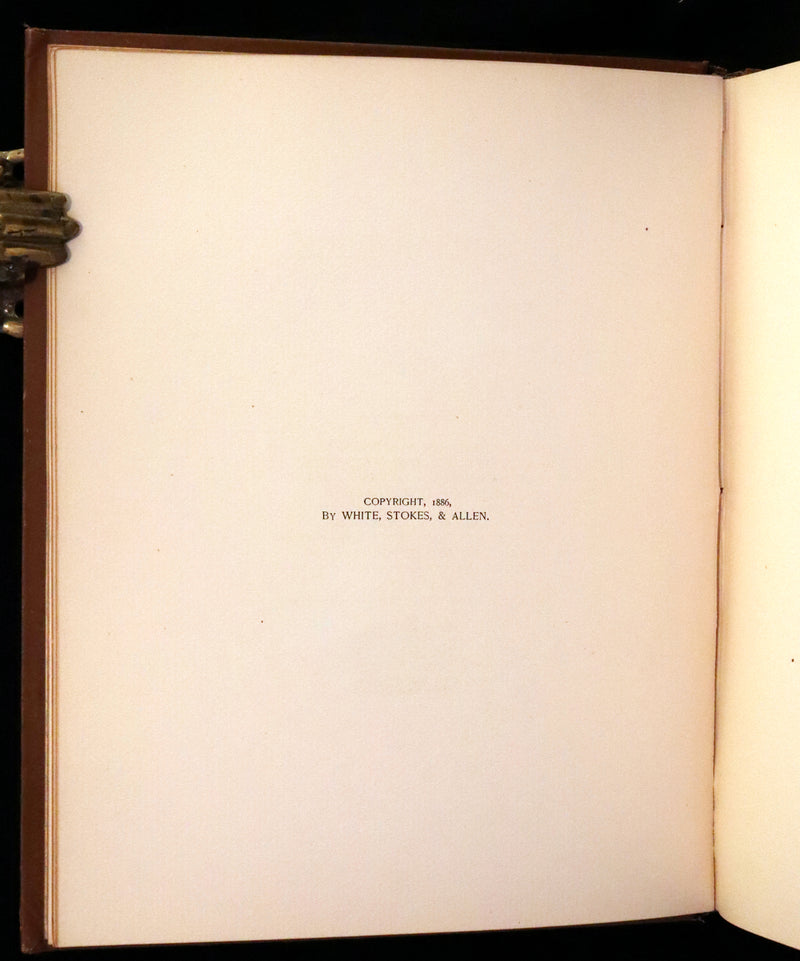 1886 Scarce Victorian Skelding Book ~ Familiar Birds and What the Poets Sing of Them, illustrated by Fidelia Bridges.