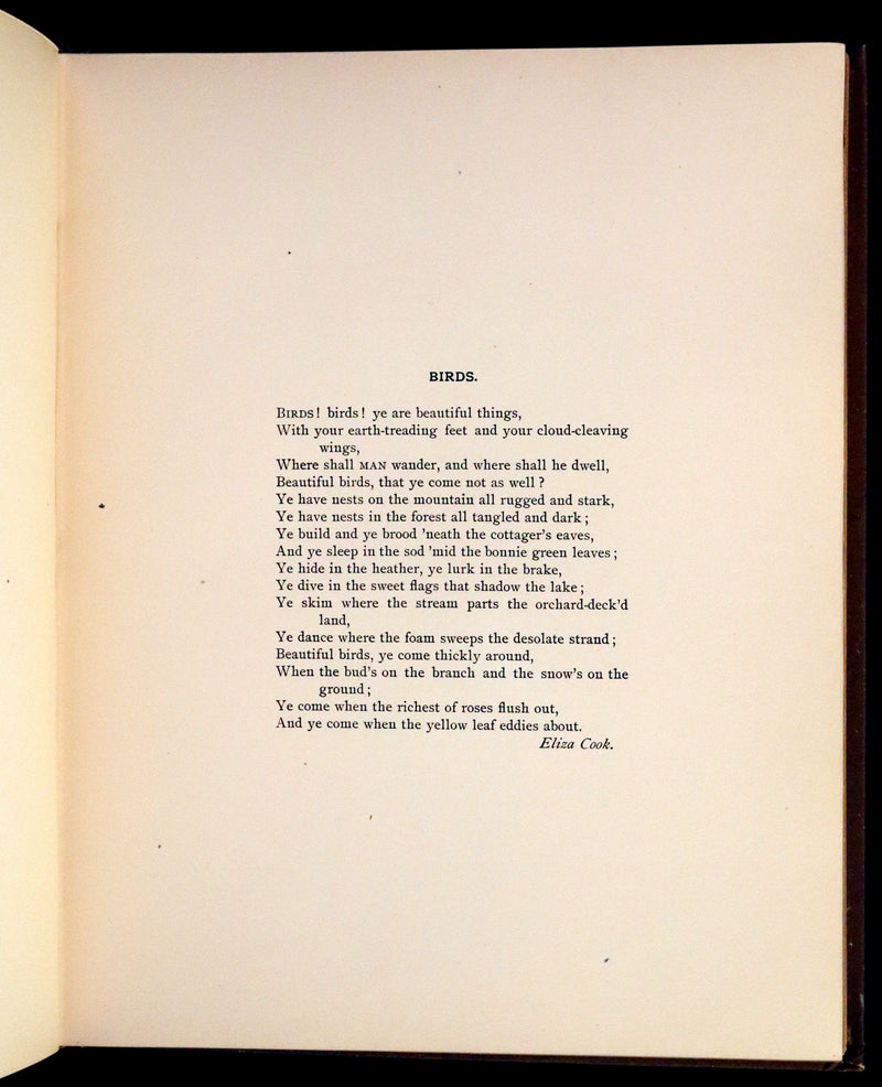 1886 Scarce Victorian Skelding Book ~ Familiar Birds and What the Poets Sing of Them, illustrated by Fidelia Bridges.