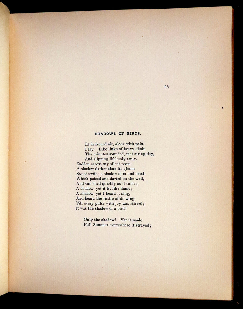 1886 Scarce Victorian Skelding Book ~ Familiar Birds and What the Poets Sing of Them, illustrated by Fidelia Bridges.