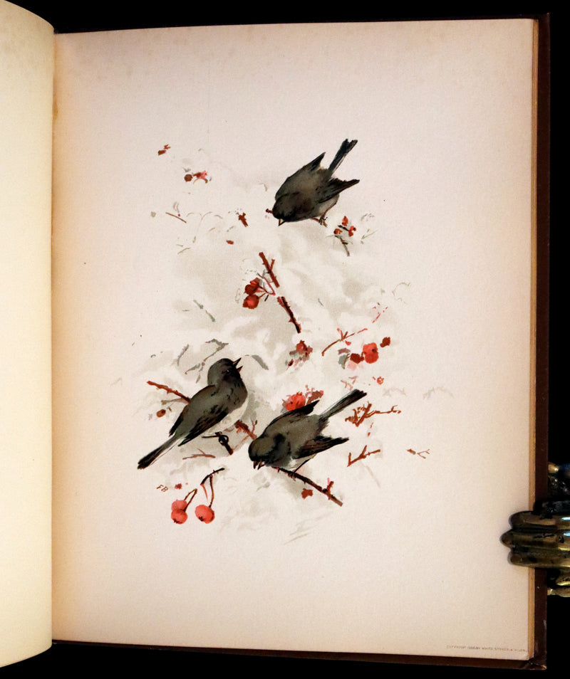 1886 Scarce Victorian Skelding Book ~ Familiar Birds and What the Poets Sing of Them, illustrated by Fidelia Bridges.