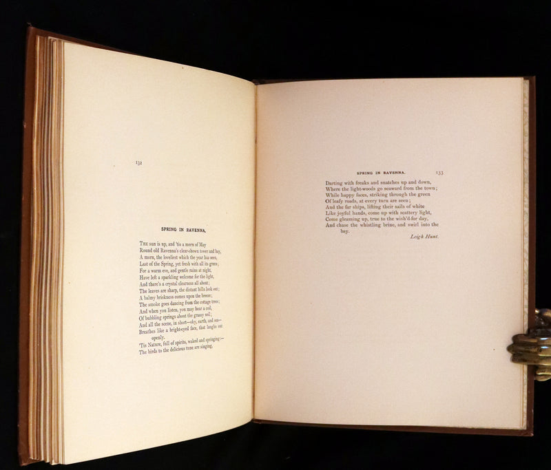 1886 Scarce Victorian Skelding Book ~ Familiar Birds and What the Poets Sing of Them, illustrated by Fidelia Bridges.