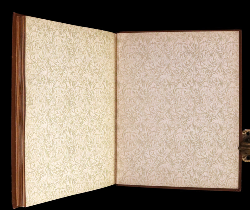 1886 Scarce Victorian Skelding Book ~ Familiar Birds and What the Poets Sing of Them, illustrated by Fidelia Bridges.