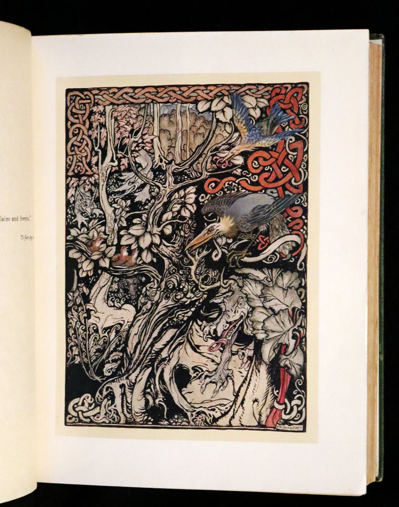 1920 First Edition - Irish fairy Tales by James Stephens illustrated by Arthur Rackham.