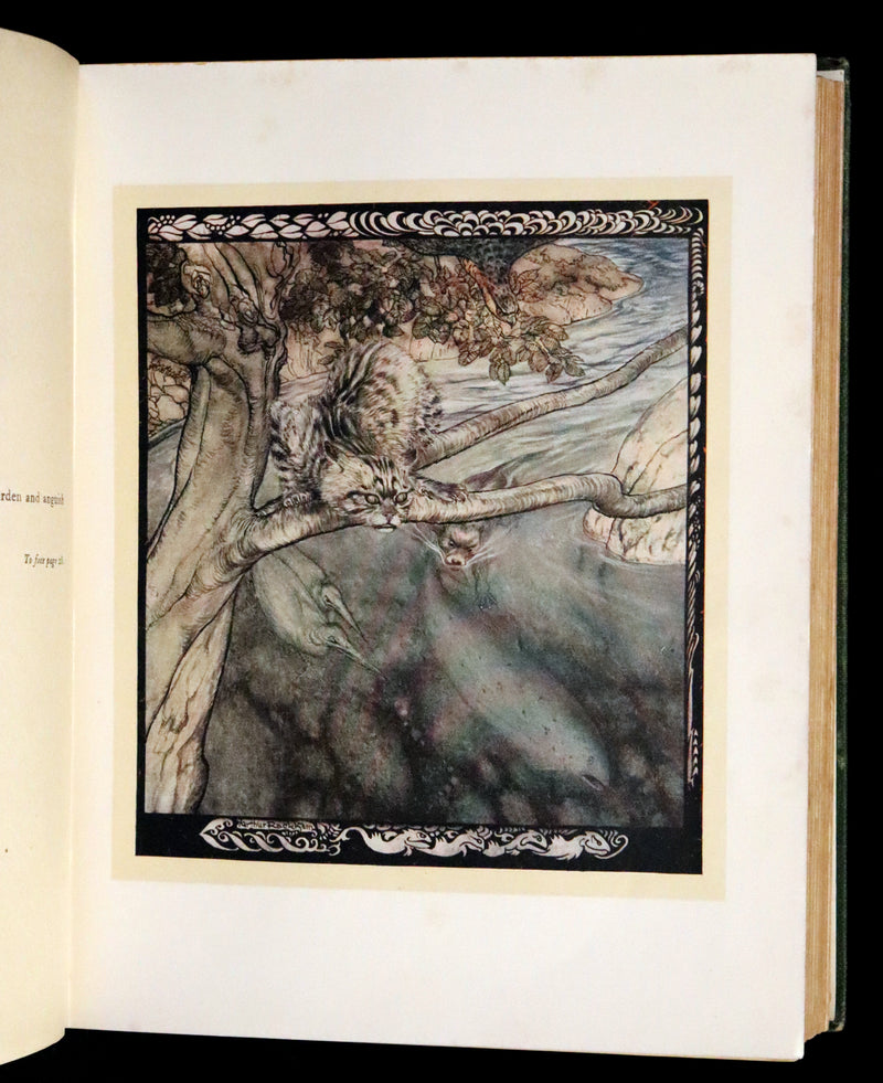 1920 First Edition - Irish fairy Tales by James Stephens illustrated by Arthur Rackham.