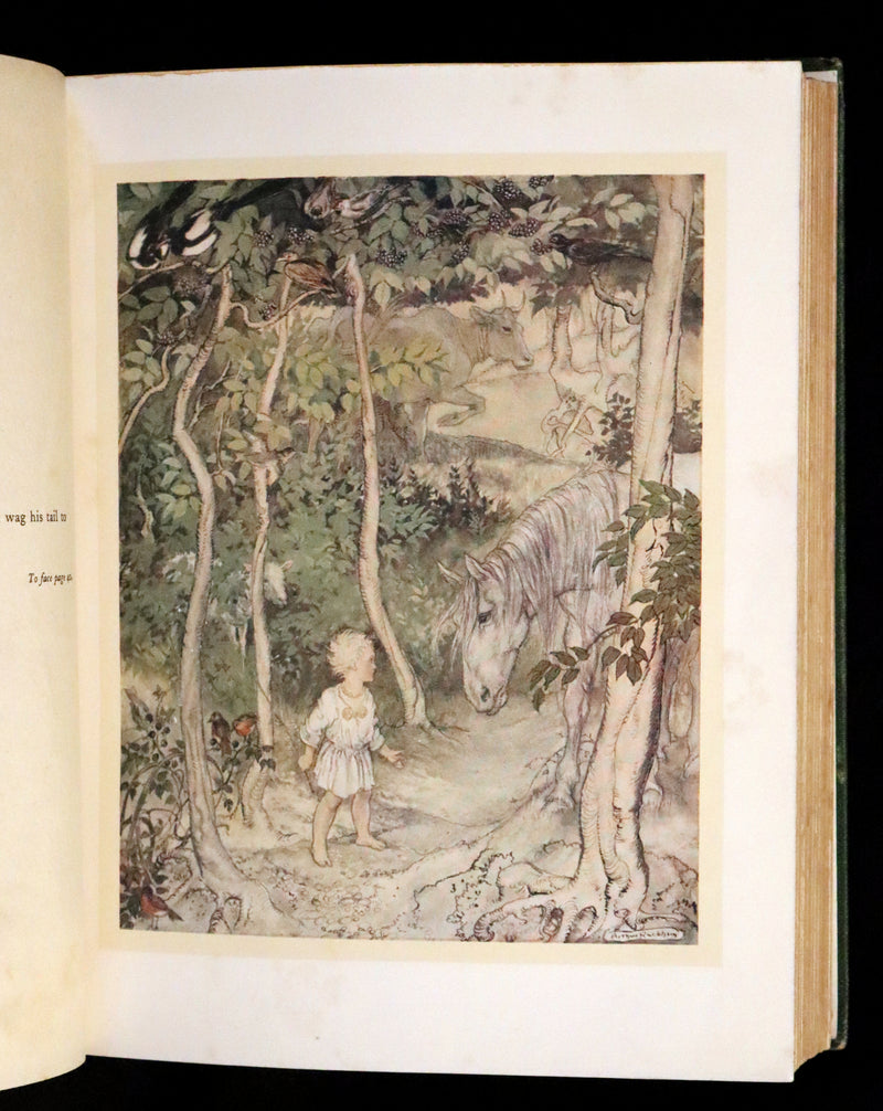1920 First Edition - Irish fairy Tales by James Stephens illustrated by Arthur Rackham.