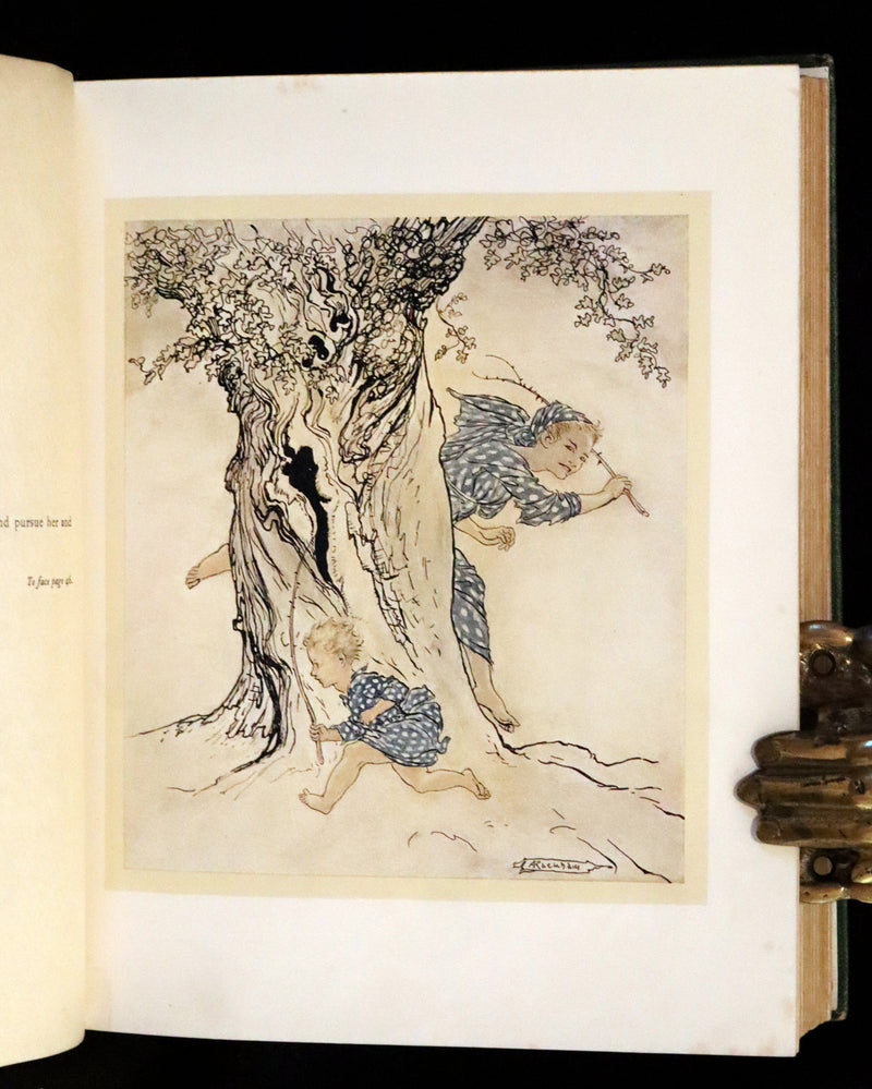 1920 First Edition - Irish fairy Tales by James Stephens illustrated by Arthur Rackham.