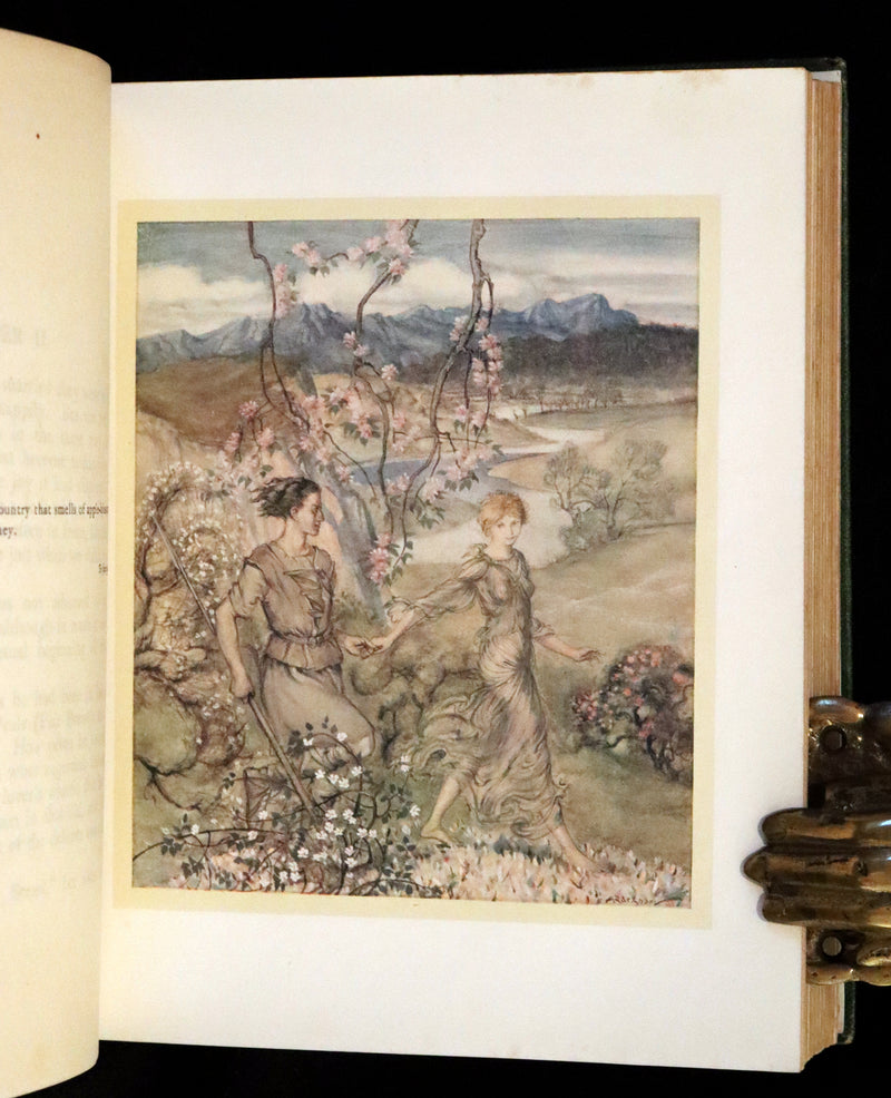 1920 First Edition - Irish fairy Tales by James Stephens illustrated by Arthur Rackham.