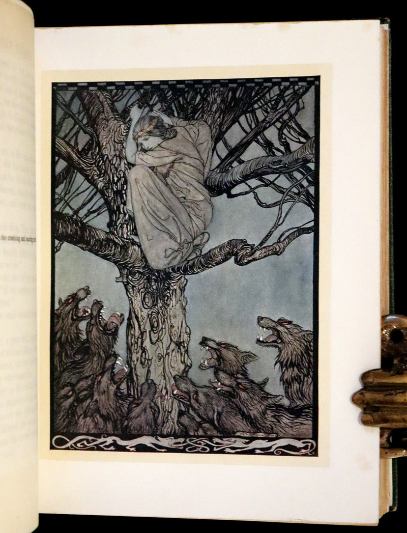 1920 First Edition - Irish fairy Tales by James Stephens illustrated by Arthur Rackham.