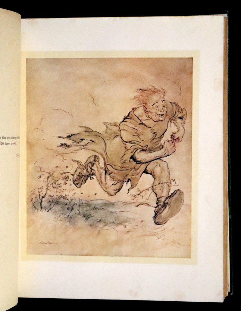 1920 First Edition - Irish fairy Tales by James Stephens illustrated by Arthur Rackham.