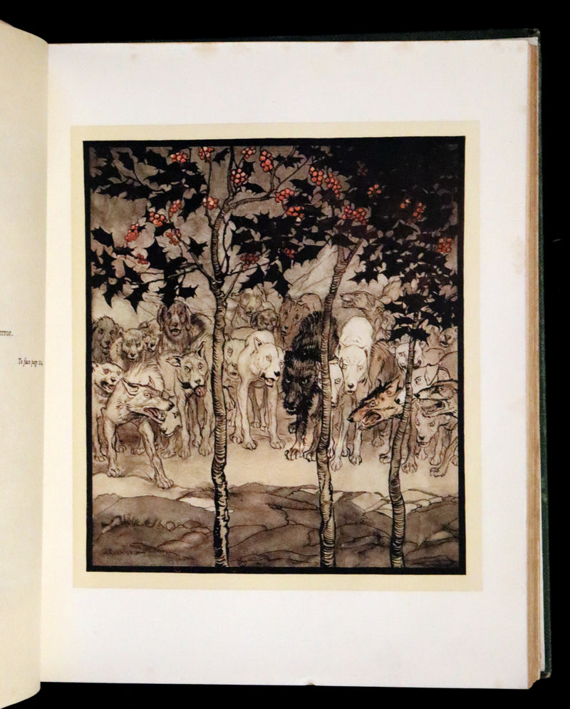 1920 First Edition - Irish fairy Tales by James Stephens illustrated by Arthur Rackham.