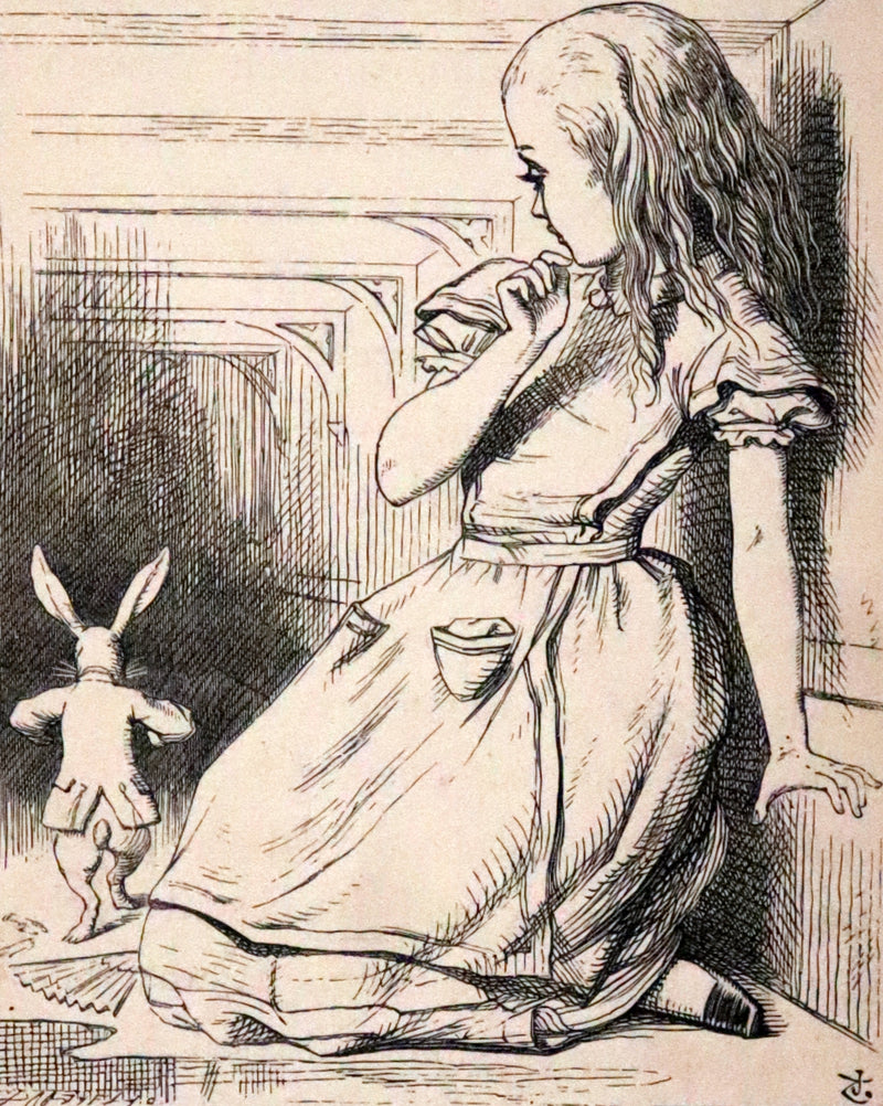 1879 Rare Book - Alice's Adventures in Wonderland by Lewis Carroll and illustrated by John Tenniel.