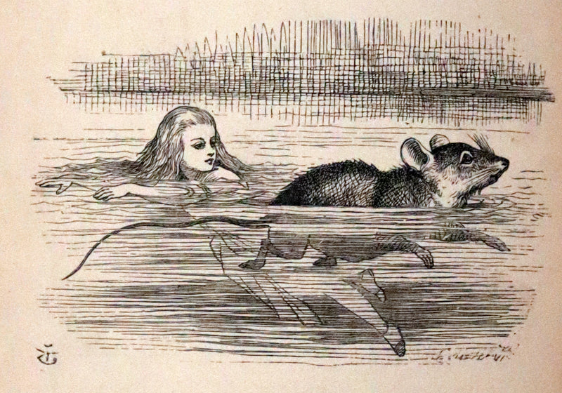 1879 Rare Book - Alice's Adventures in Wonderland by Lewis Carroll and illustrated by John Tenniel.