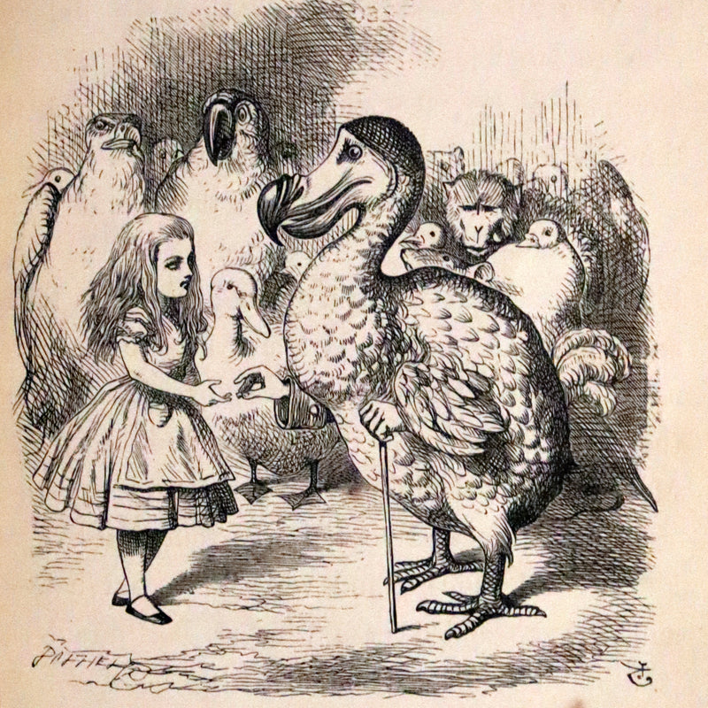 1879 Rare Book - Alice's Adventures in Wonderland by Lewis Carroll and illustrated by John Tenniel.