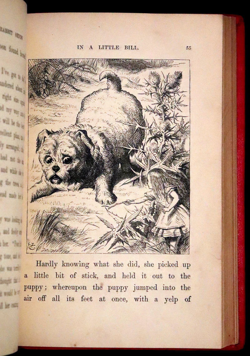 1879 Rare Book - Alice's Adventures in Wonderland by Lewis Carroll and illustrated by John Tenniel.