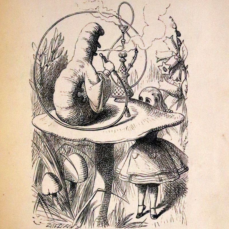 1879 Rare Book - Alice's Adventures in Wonderland by Lewis Carroll and illustrated by John Tenniel.
