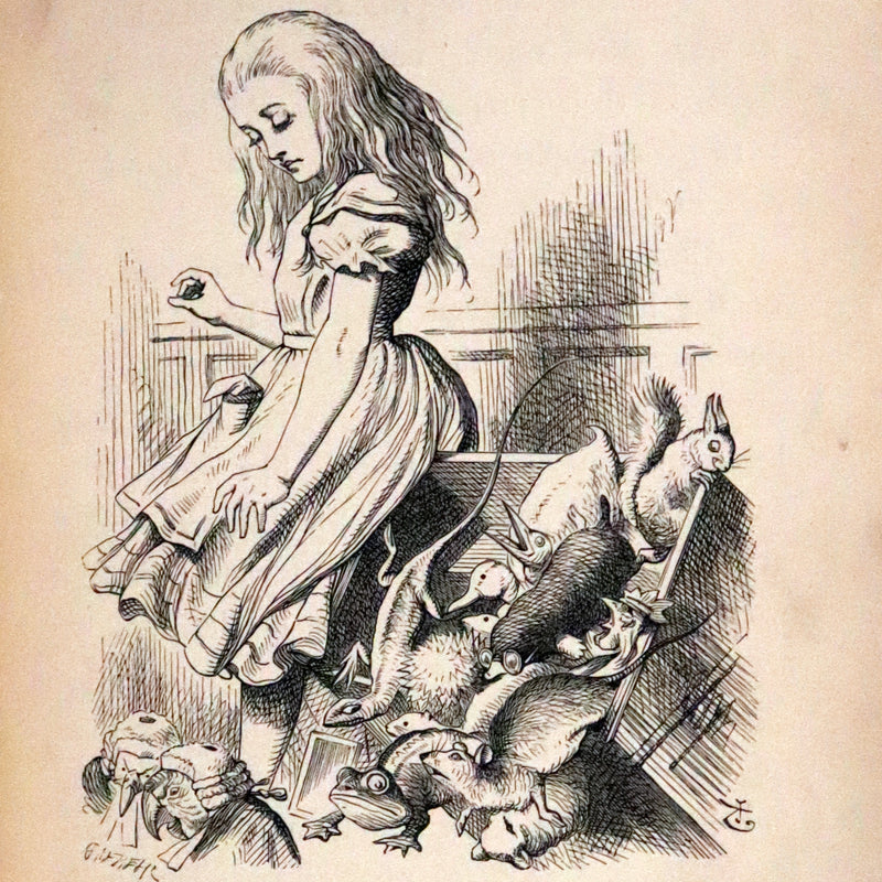 1879 Rare Book - Alice's Adventures in Wonderland by Lewis Carroll and illustrated by John Tenniel.