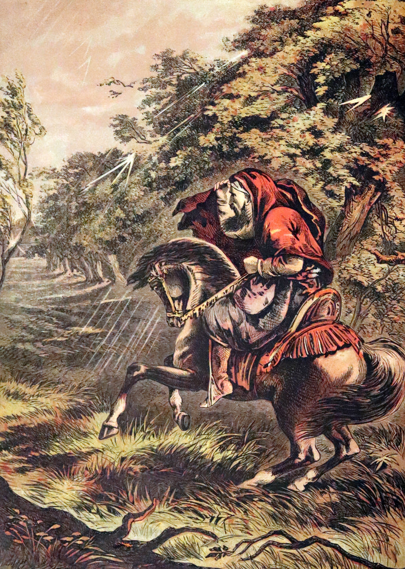 1869 Scarce French Illustrated Book - Beauty and the Beast, La Belle et la Bete, color illustrated.