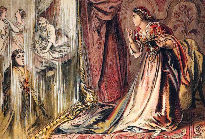 1869 Scarce French Illustrated Book - Beauty and the Beast, La Belle et la Bete, color illustrated.