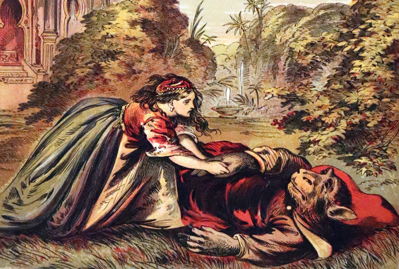 1869 Scarce French Illustrated Book - Beauty and the Beast, La Belle et la Bete, color illustrated.