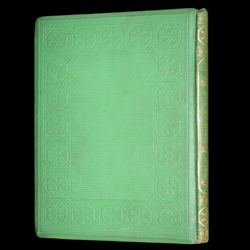 1873 Rare First Edition - The Little People of the Snow by William Cullen Bryant illustrated by Alfred Fredericks.