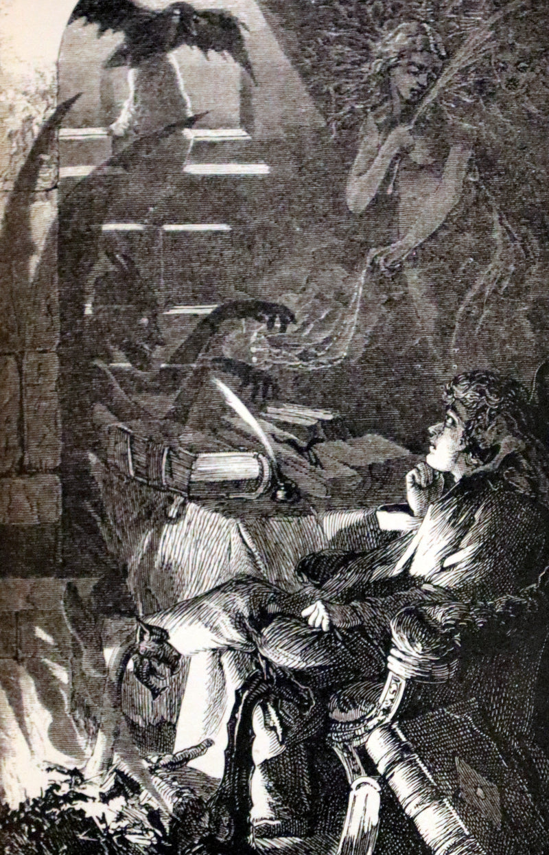 1882 Rare Book - Poems by Edgar Allan Poe with Memoir (The Raven, Lenore,...). Illustrated.