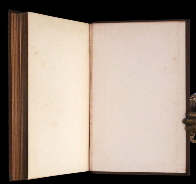 1882 Rare Book - Poems by Edgar Allan Poe with Memoir (The Raven, Lenore,...). Illustrated.