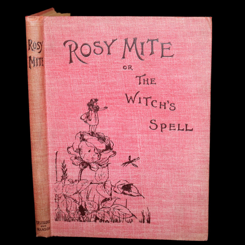 1890 Rare First Edition - Rosy Mite or The Witch's Spell by Vera Petrovna Jelifhovsky, illustrated by T. Pym.