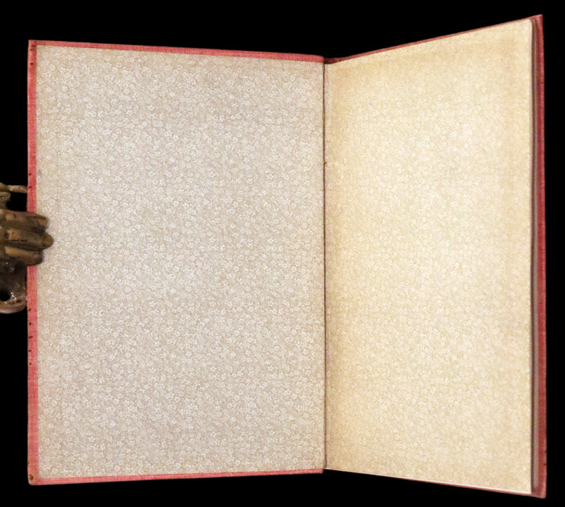 1890 Rare First Edition - Rosy Mite or The Witch's Spell by Vera Petrovna Jelifhovsky, illustrated by T. Pym.