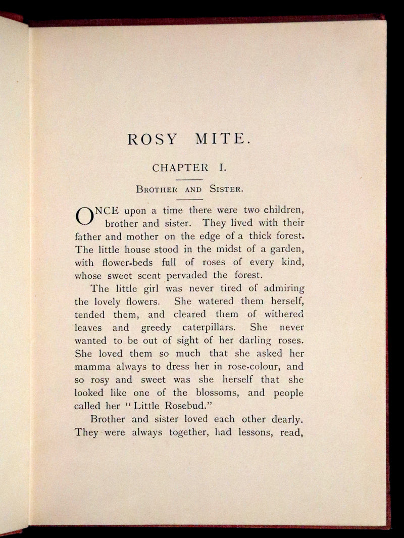 1890 Rare First Edition - Rosy Mite or The Witch's Spell by Vera Petrovna Jelifhovsky, illustrated by T. Pym.