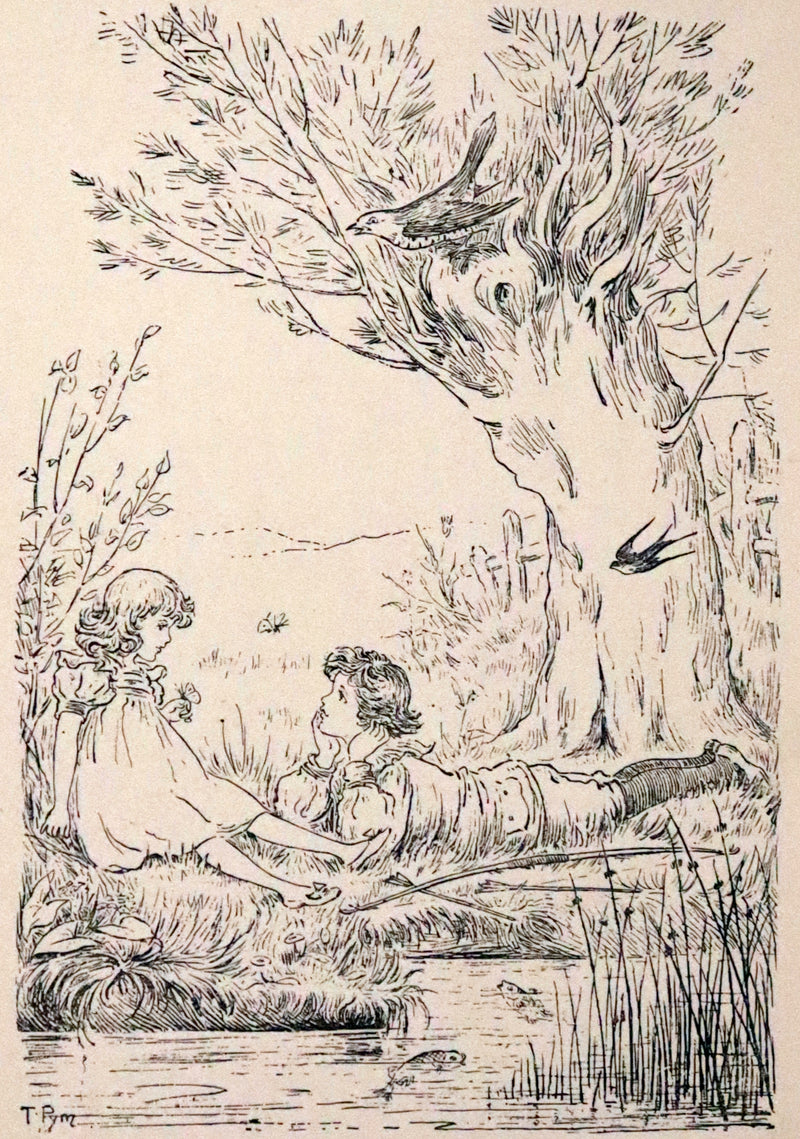 1890 Rare First Edition - Rosy Mite or The Witch's Spell by Vera Petrovna Jelifhovsky, illustrated by T. Pym.