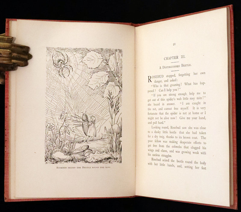 1890 Rare First Edition - Rosy Mite or The Witch's Spell by Vera Petrovna Jelifhovsky, illustrated by T. Pym.