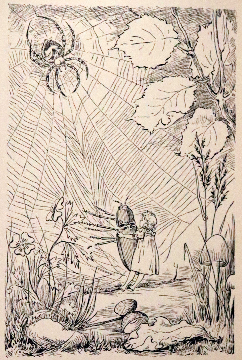 1890 Rare First Edition - Rosy Mite or The Witch's Spell by Vera Petrovna Jelifhovsky, illustrated by T. Pym.