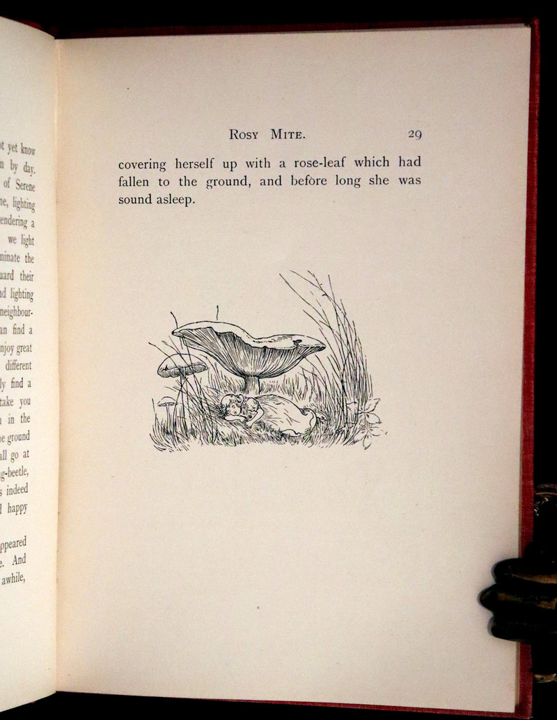 1890 Rare First Edition - Rosy Mite or The Witch's Spell by Vera Petrovna Jelifhovsky, illustrated by T. Pym.