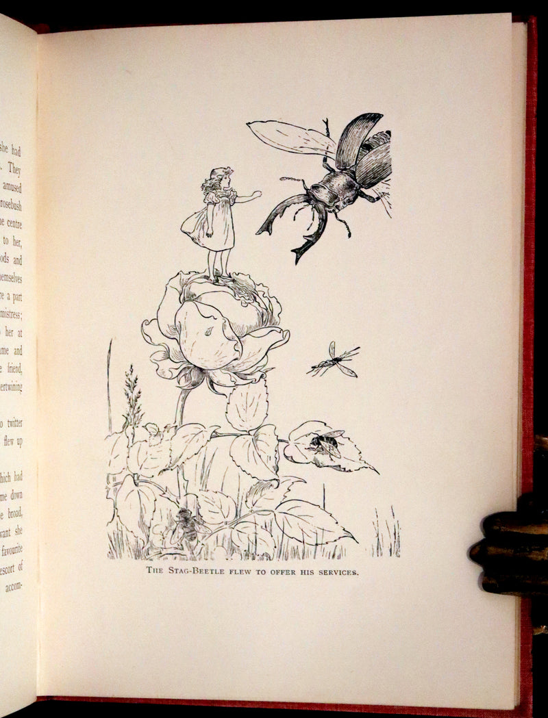 1890 Rare First Edition - Rosy Mite or The Witch's Spell by Vera Petrovna Jelifhovsky, illustrated by T. Pym.