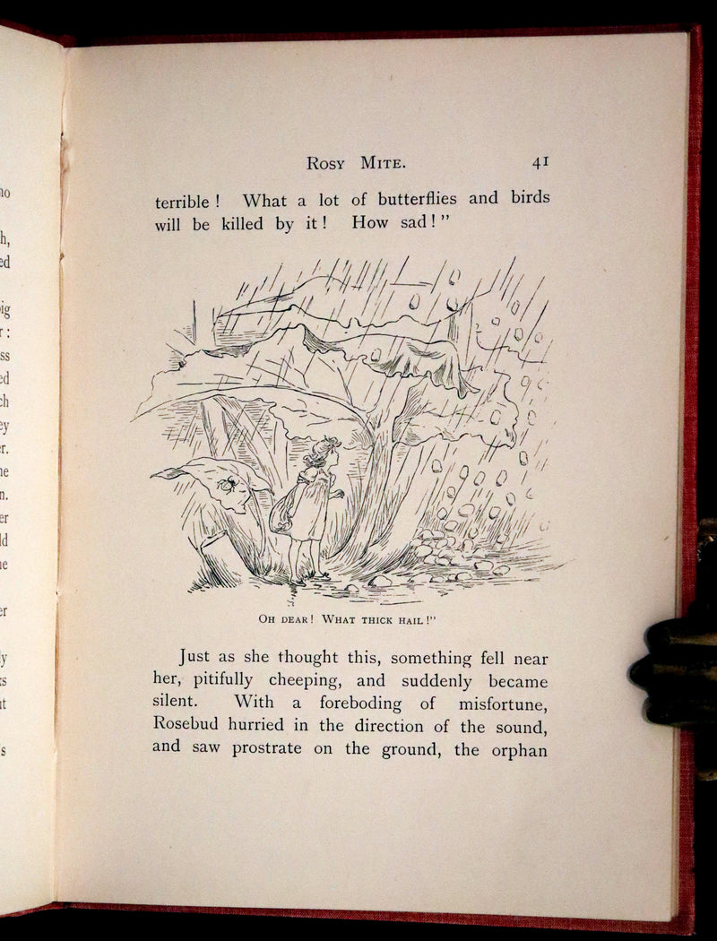 1890 Rare First Edition - Rosy Mite or The Witch's Spell by Vera Petrovna Jelifhovsky, illustrated by T. Pym.