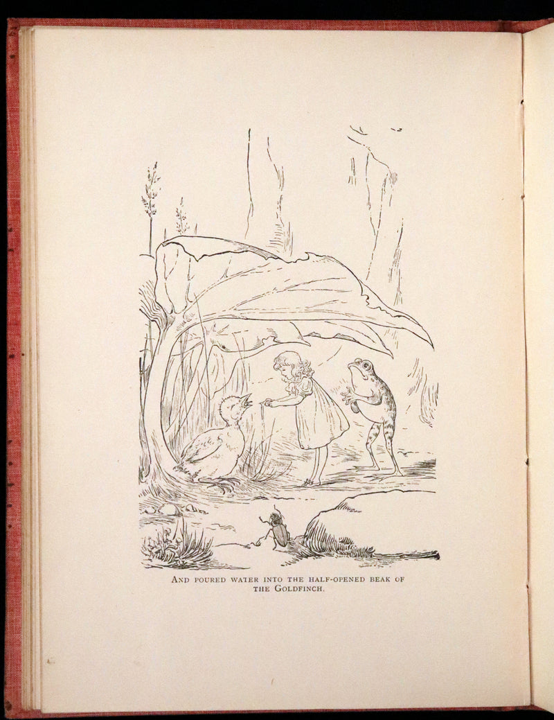 1890 Rare First Edition - Rosy Mite or The Witch's Spell by Vera Petrovna Jelifhovsky, illustrated by T. Pym.