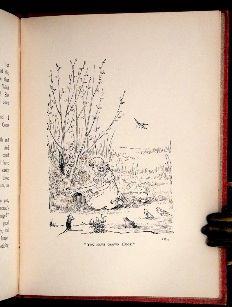 1890 Rare First Edition - Rosy Mite or The Witch's Spell by Vera Petrovna Jelifhovsky, illustrated by T. Pym.