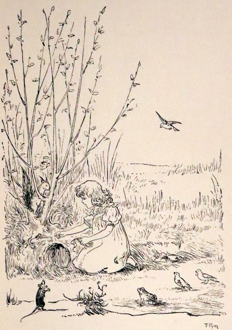 1890 Rare First Edition - Rosy Mite or The Witch's Spell by Vera Petrovna Jelifhovsky, illustrated by T. Pym.