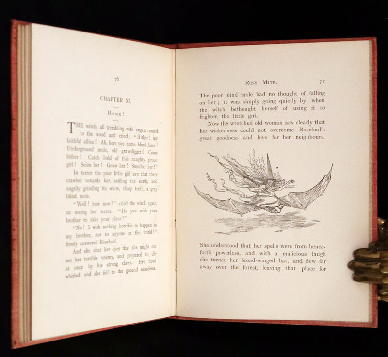 1890 Rare First Edition - Rosy Mite or The Witch's Spell by Vera Petrovna Jelifhovsky, illustrated by T. Pym.