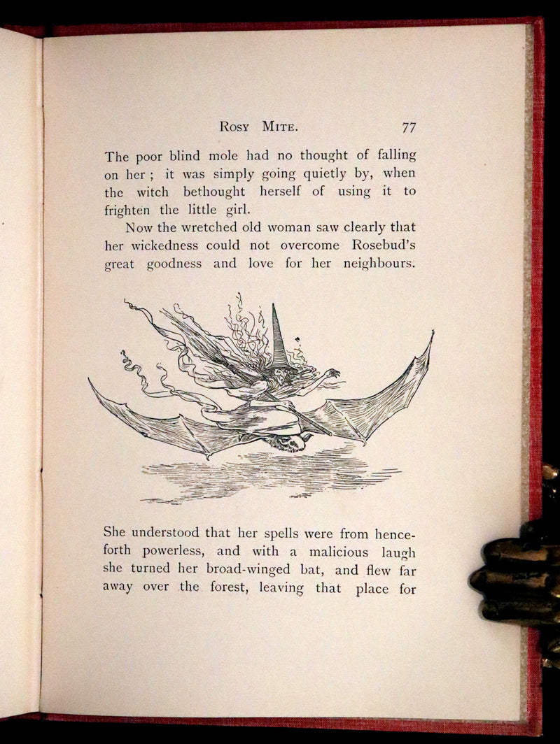 1890 Rare First Edition - Rosy Mite or The Witch's Spell by Vera Petrovna Jelifhovsky, illustrated by T. Pym.