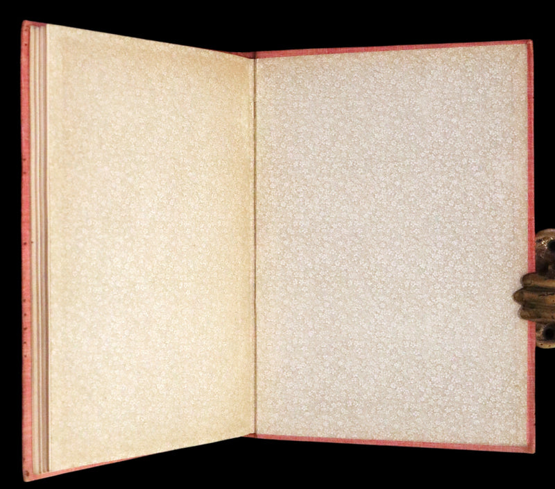 1890 Rare First Edition - Rosy Mite or The Witch's Spell by Vera Petrovna Jelifhovsky, illustrated by T. Pym.