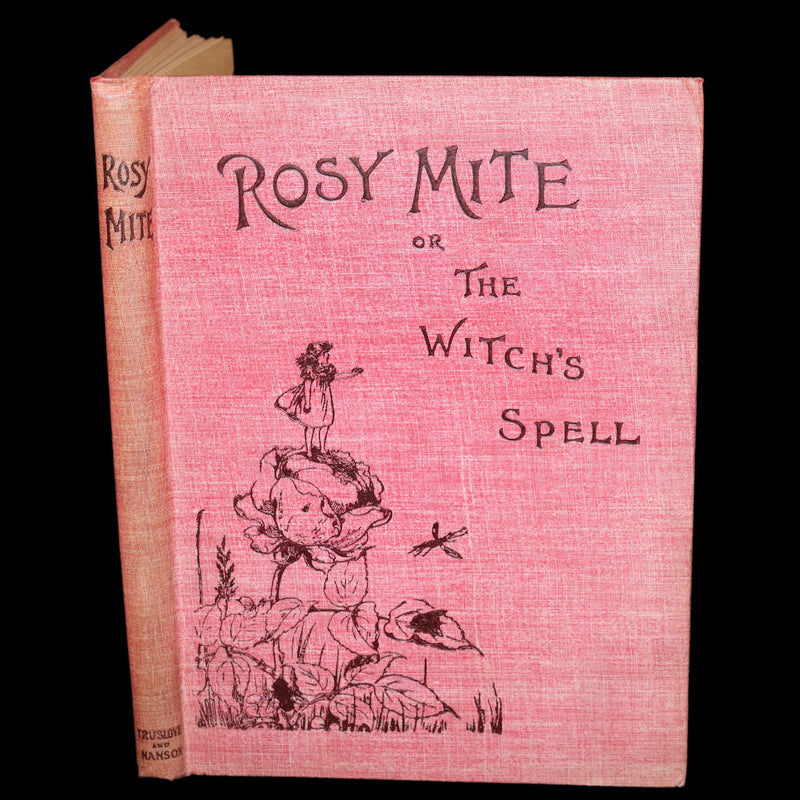 1890 Rare First Edition - Rosy Mite or The Witch's Spell by Vera Petrovna Jelifhovsky, illustrated by T. Pym.