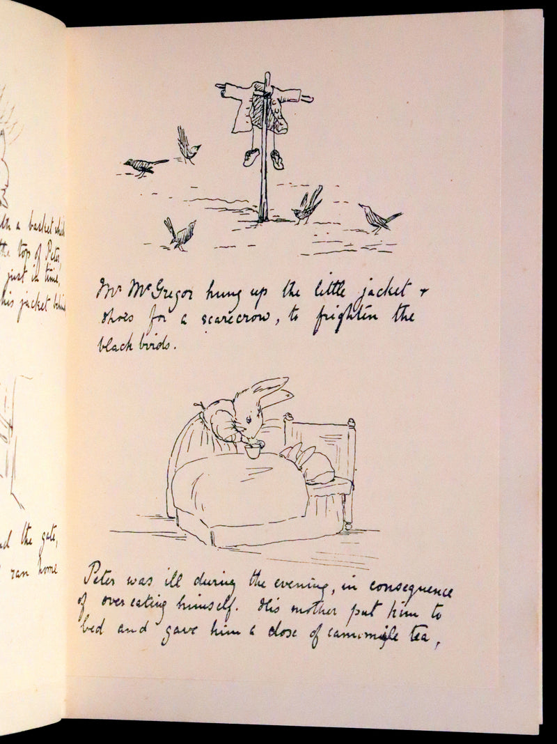 1946 Rare First Edition with Dust jacket - The Tale of Beatrix Potter, A Biography by Margaret Lane.