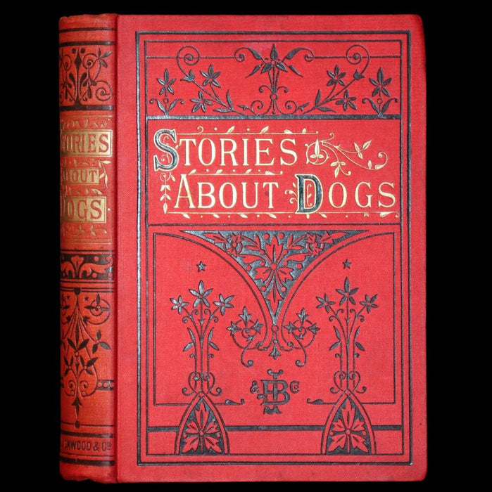 1890 Scarce Victorian Edition - Dogs, Their Sagacity, Instinct, and Uses; with Stories of Dog Life.